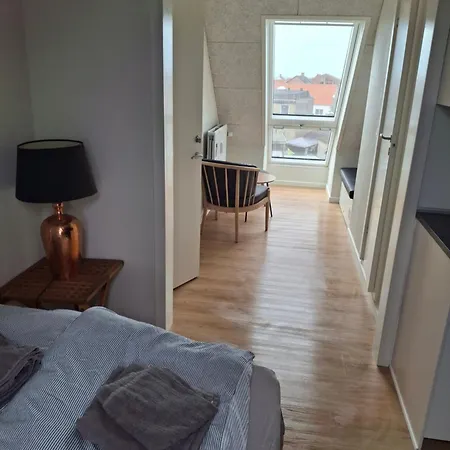 Helt Ny Lejlighed Med Badevaerelse 公寓 希茨海尔斯
