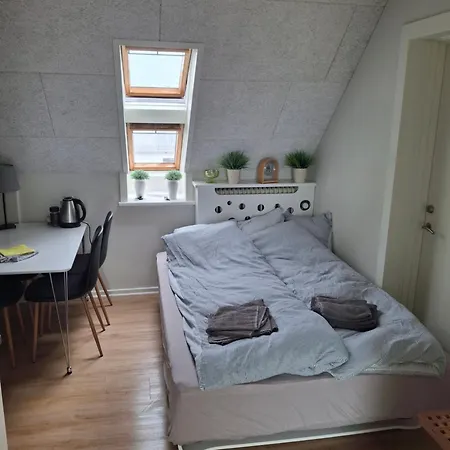 Helt Ny Lejlighed Med Badevaerelse * 希茨海尔斯